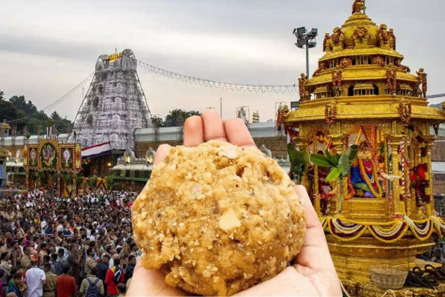 গরুর মাংস-চর্বি বিতর্কের পর এবার তিরুপতি বালাজির লাড্ডুতে পাওয়া গেল গুটকার প্যাকেট!